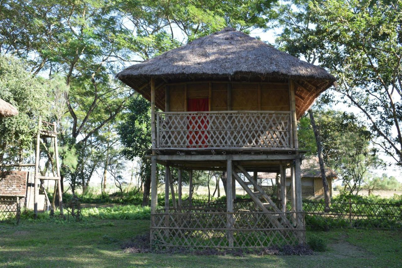 Dhansiri Eco Camp Bokakhat Ngoại thất bức ảnh